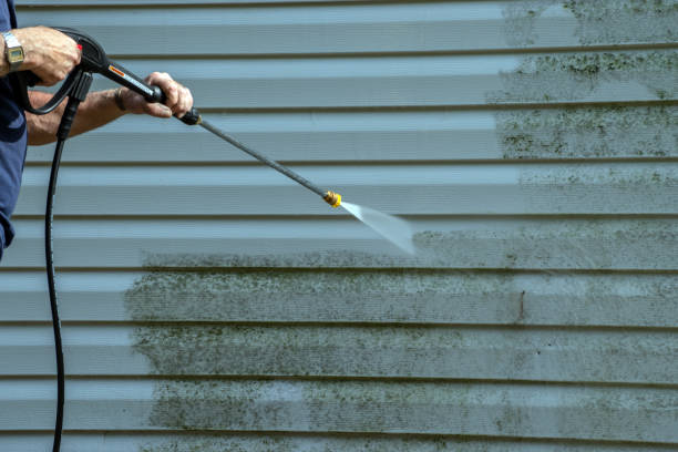 Best Pressure Washing Driveway  in Victoria, MN
